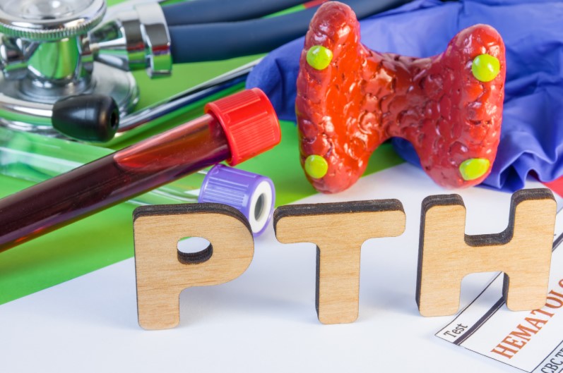 Medical laboratory abbreviation PTH or parathyroid hormone